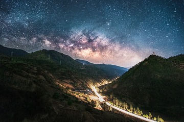 荜走龙蛇