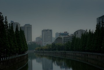 DSC02890.jpg