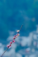 001
