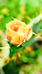 024A4965-304B-46BF-BFD7-BB784DB2B495/L0/001