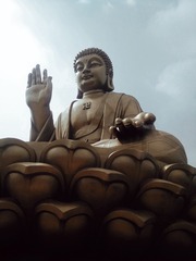 4486308