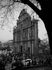 DSC_7207.jpg