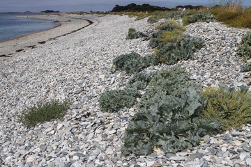 DSC_7017.jpg