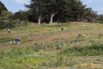 DSC_7029.jpg
