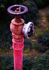 IMG_3888.jpg