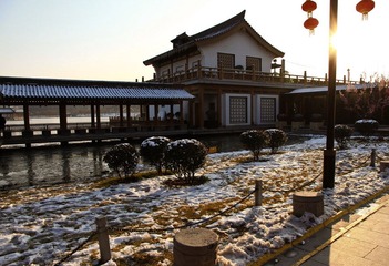 IMG_3731-1.jpg