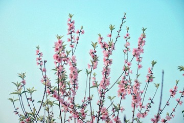 2F86C64B-F1F9-4FB2-90DF-A78F90728868/L0/001