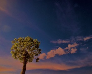 8FB6B20A-7E9E-4028-96F1-97086D34F66D/L0/001