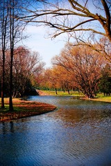 DSC00032.jpg