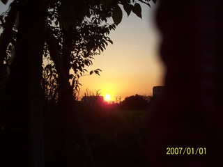 6E716EEB-413E-4EA8-A67D-F851ED0B783C/L0/001