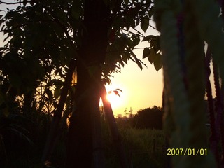 5828AFDE-EA5F-42AC-9415-34E37535ED9E/L0/001