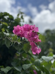 F9668F36-F2D8-498B-B977-78C63FF4B916/L0/001