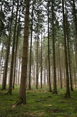 DSC_3404.jpg
