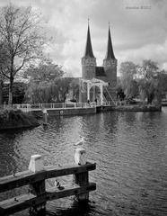 DSC_3727.jpg