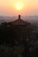 IMG_7993.JPG