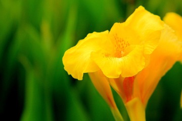 IMG_0050.JPG