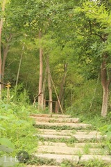 IMG_0419.JPG