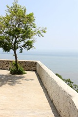 IMG_4860.JPG