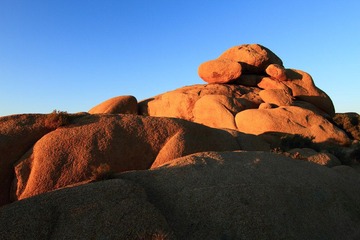 IMG_1259.JPG