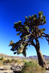 IMG_1267.JPG