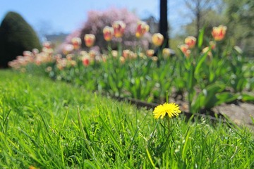 IMG_0485.JPG