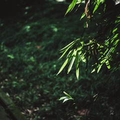 9676ED30-B3FE-4DB2-8231-62FB38D2EF80/L0/001