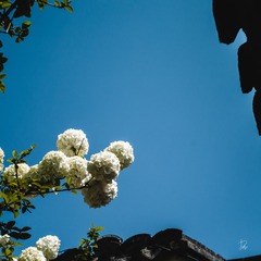 C183D6EA-B1BF-4FE7-9A38-BDBD8C0DB2D8/L0/001