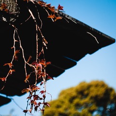 59143784-C3B8-435C-90B8-BC9366D011B1/L0/001
