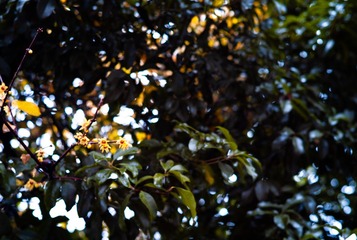 A0CFEC3B-1F4D-445D-AC3A-882D8F67B167/L0/001