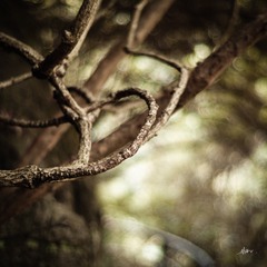 FD862FBD-936B-4565-9D73-766F0A1BCECA/L0/001