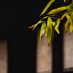 7554F3CA-8490-4903-9493-B857E9708D5F/L0/001