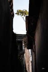 3E0E0180-72A6-4936-AC6F-6DF9BA0CB4EB/L0/001