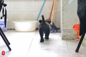 DSC_2831.jpg