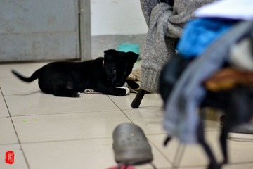 DSC_2835.jpg