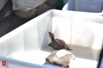 DSC_3408.jpg