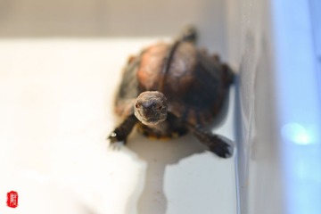 DSC_3415.jpg
