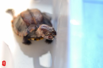 DSC_3419.jpg