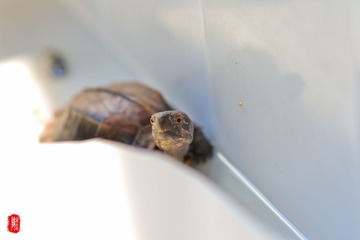 DSC_3422.jpg