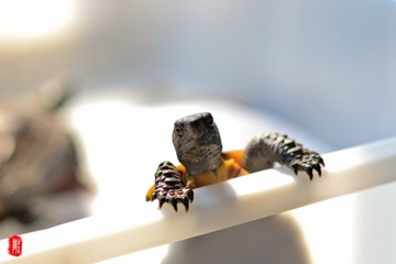 DSC_3427.jpg
