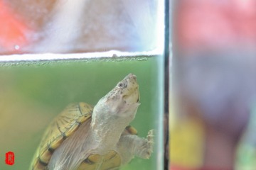 DSC_3431.jpg