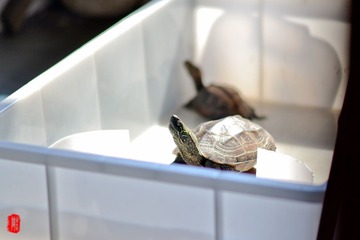 DSC_3407.jpg