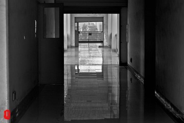 DSC_3725-2.jpg