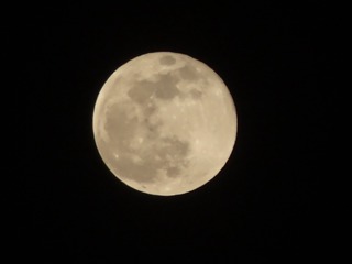 26DD980A-F906-45AA-AB7C-16D5B12C2F7B/L0/001