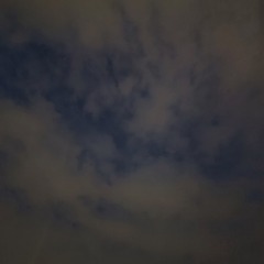 1001134126