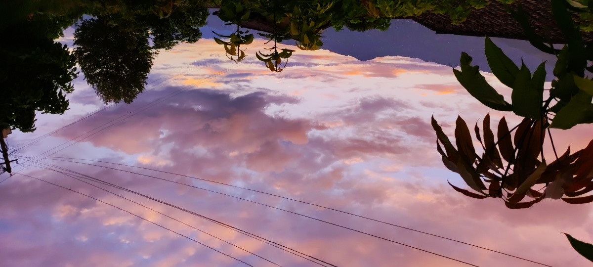 当天空突然变成了粉色横屏看效果更好