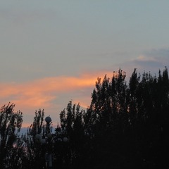 9C7CA4FC-A5AA-4DD6-AD17-22BD58AA50CC/L0/001