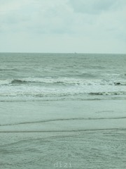 FC851783-3085-4853-BF1C-326895C9A024/L0/001
