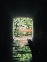 3835306