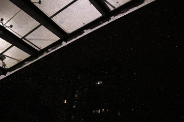 1000059804