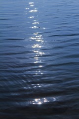 1000067159